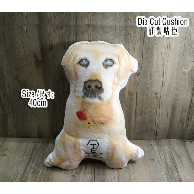 Die Cut Cushion / 訂製模切咕臣 TE1439 Die Cut Cushion / 訂製模切咕臣 TE1439